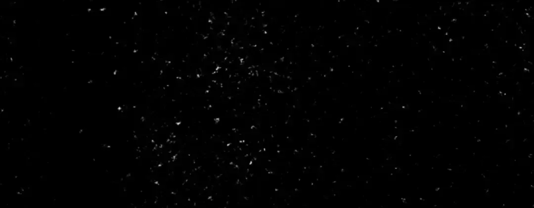 第1话 奢求不到的爱 第134页
