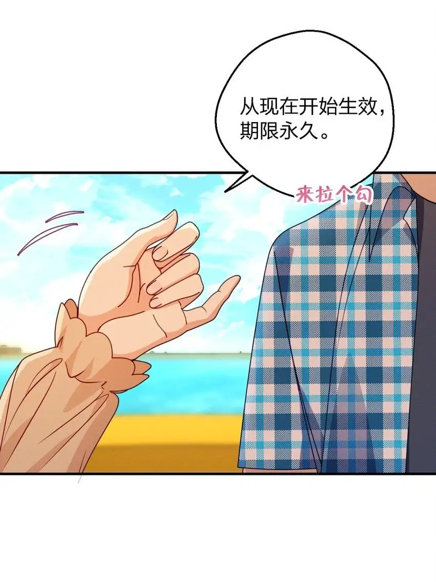 20 现在生效，期限永久 第13页