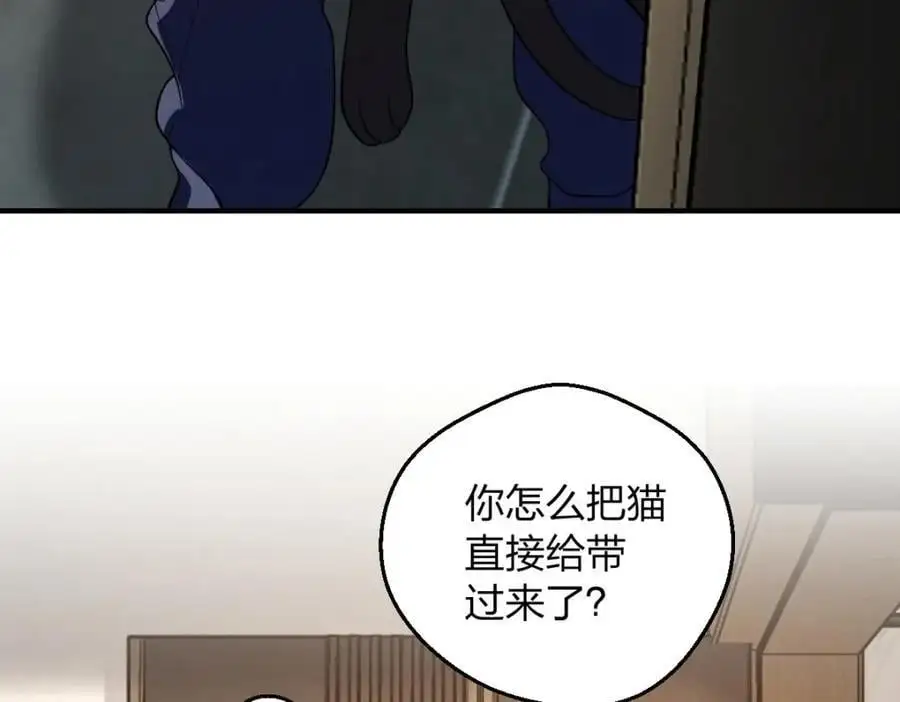 29 我就是喜欢！ 第11页