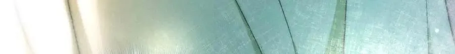 63 为了她活着 第51页