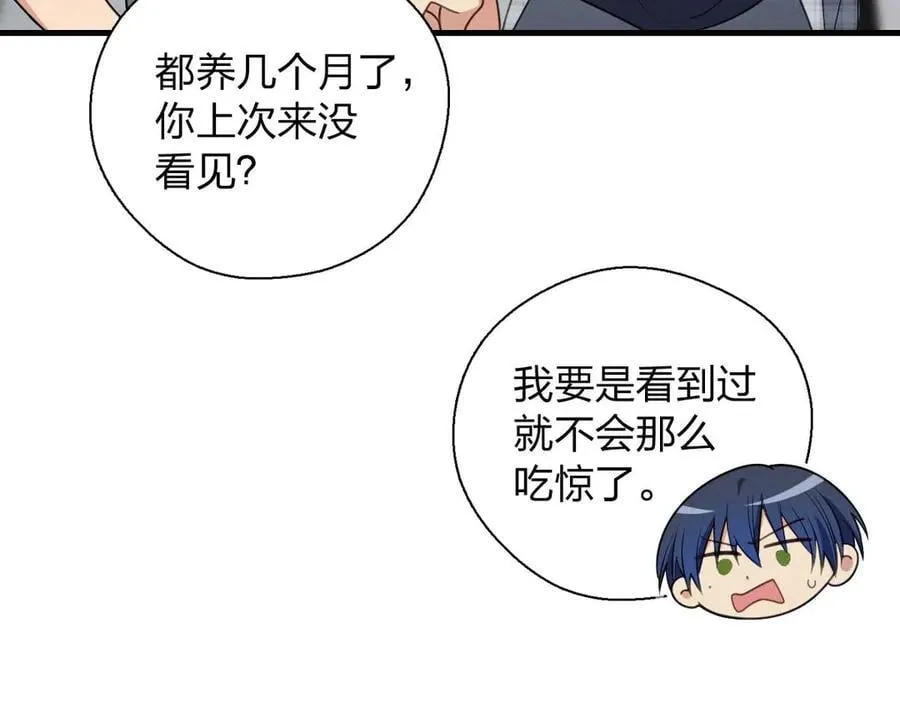 66 为什么吵架？ 第100页