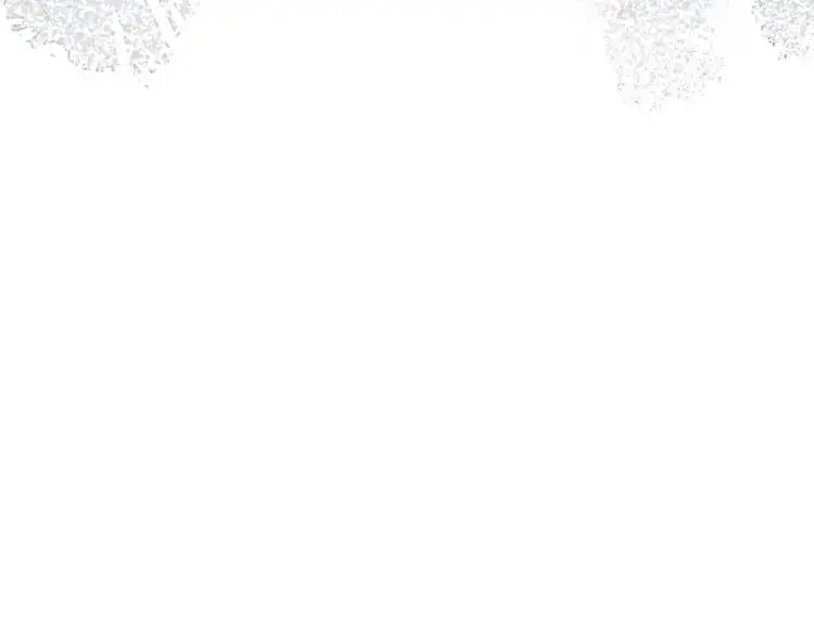 第4话 旅途开启 第24页