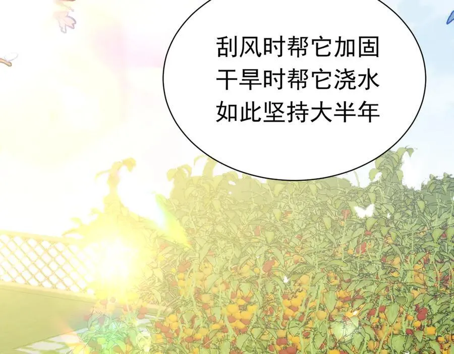 第35话 下雪啦 第66页