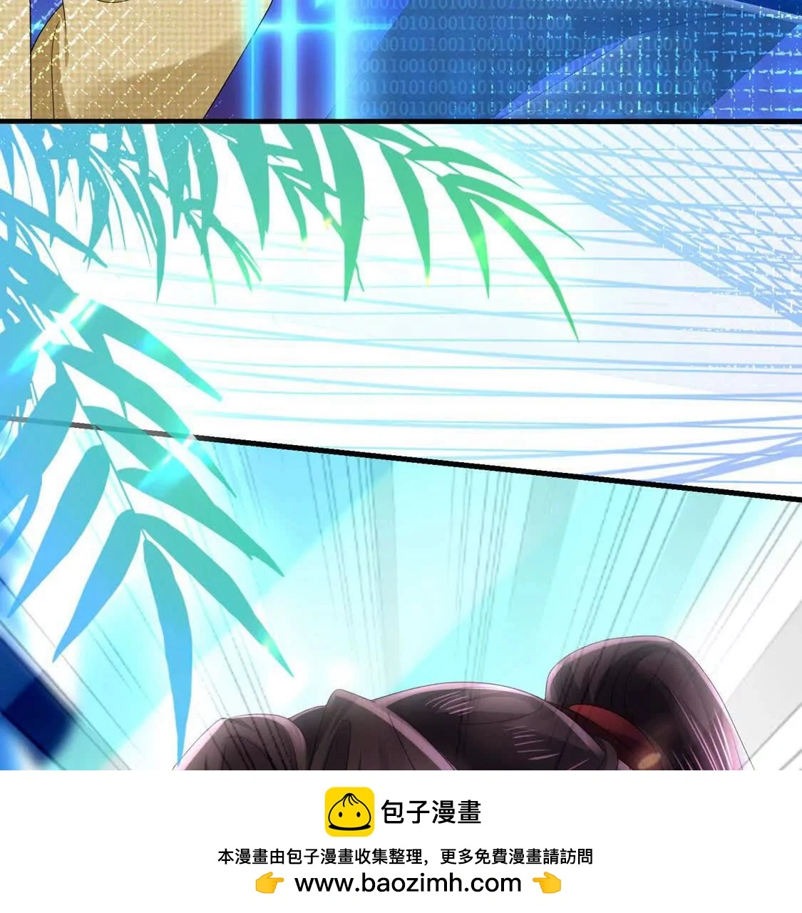 15 线上会议 第100页