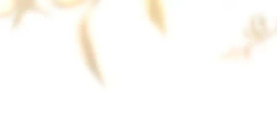 第16话 是你…… 第147页