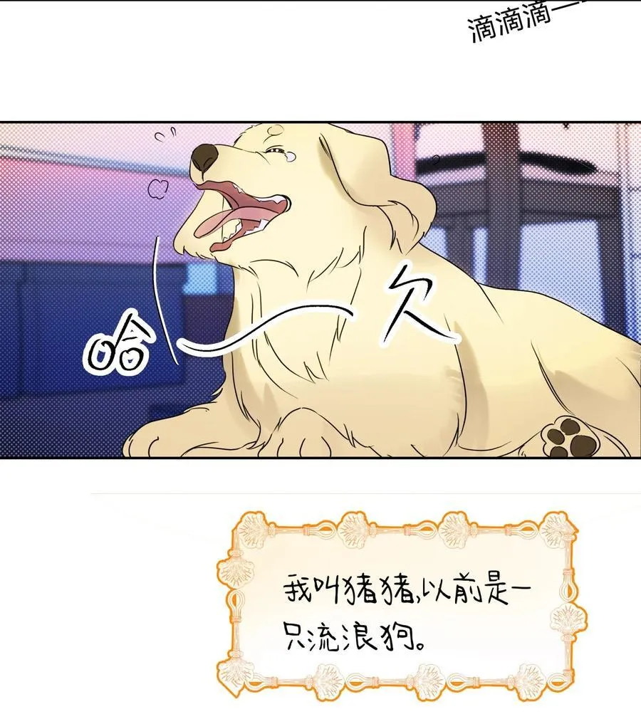 22 不是和好 第4页