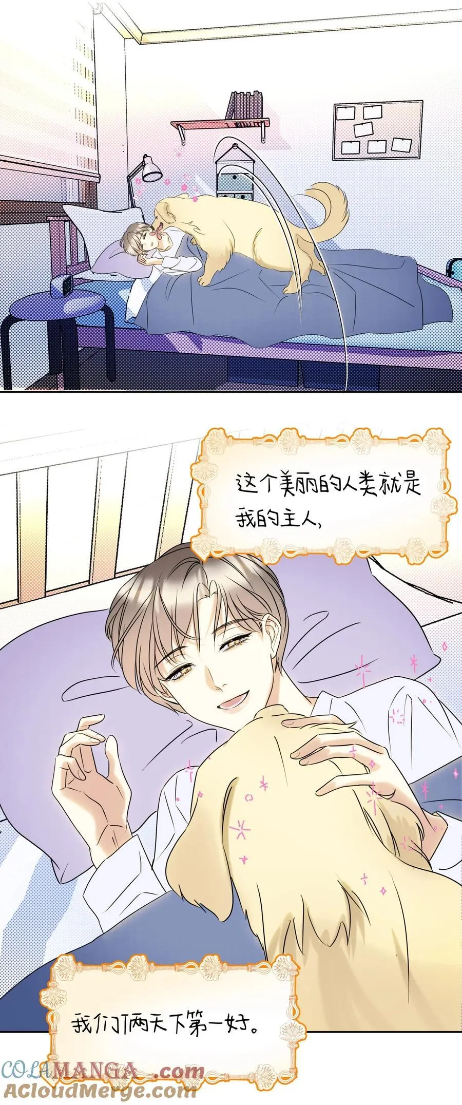 22 不是和好 第5页