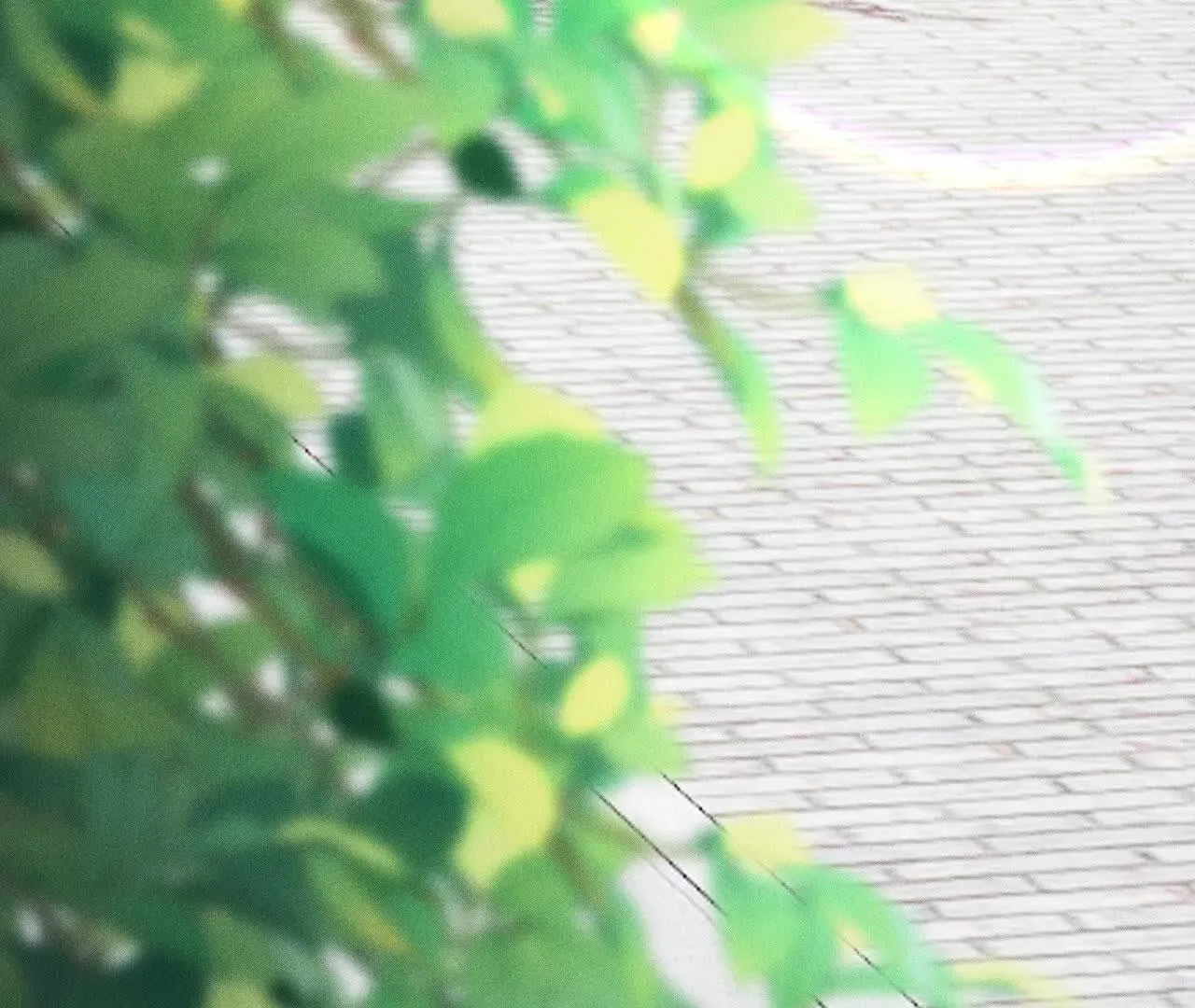 袭击 第8页