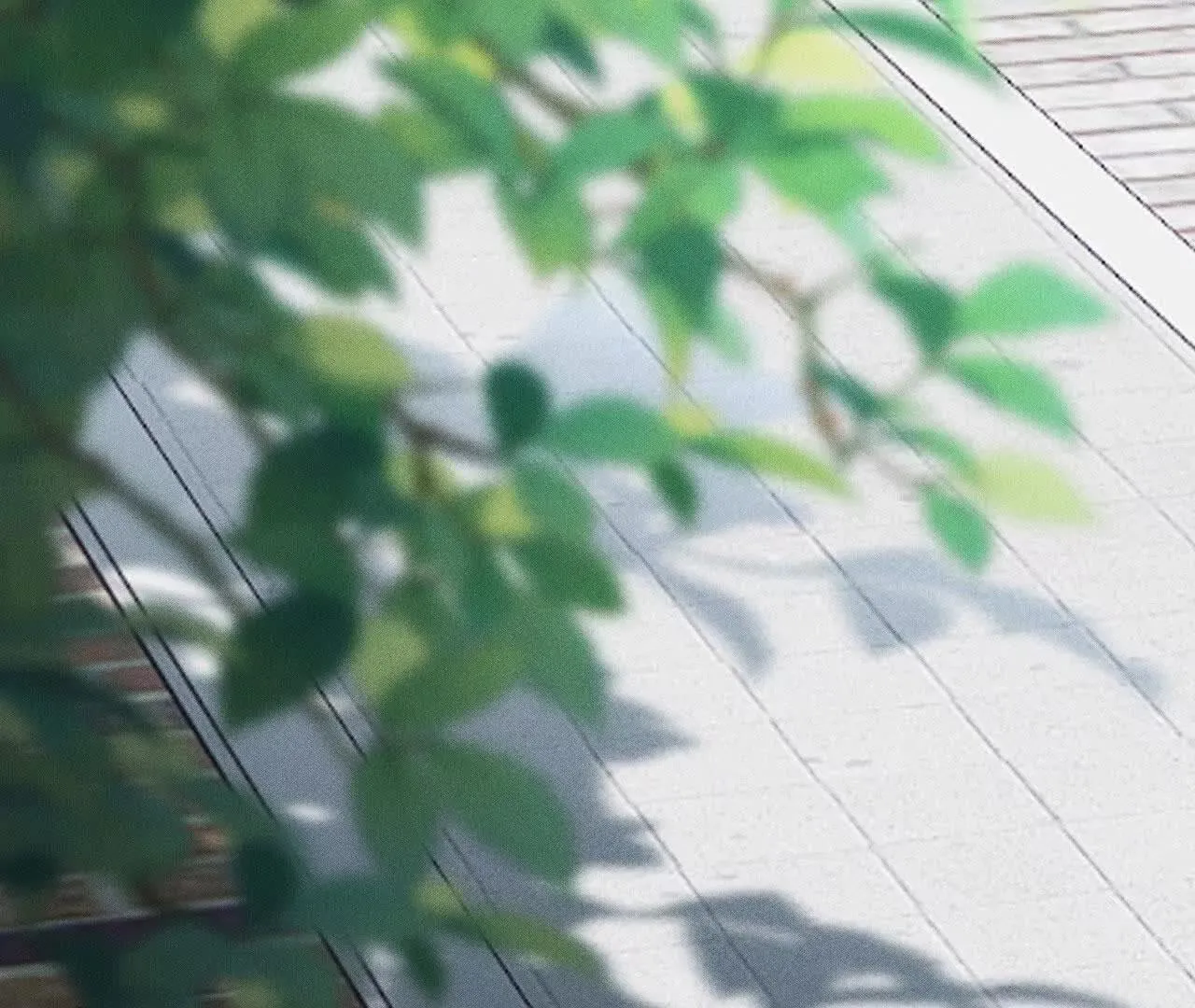 袭击 第9页
