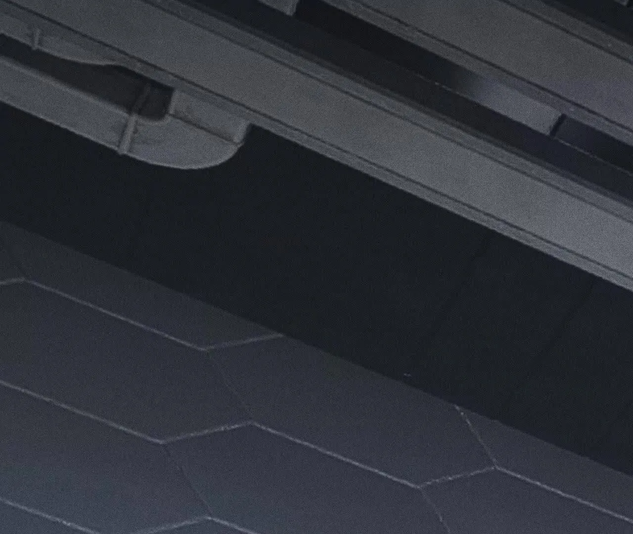 人体实验 第81页