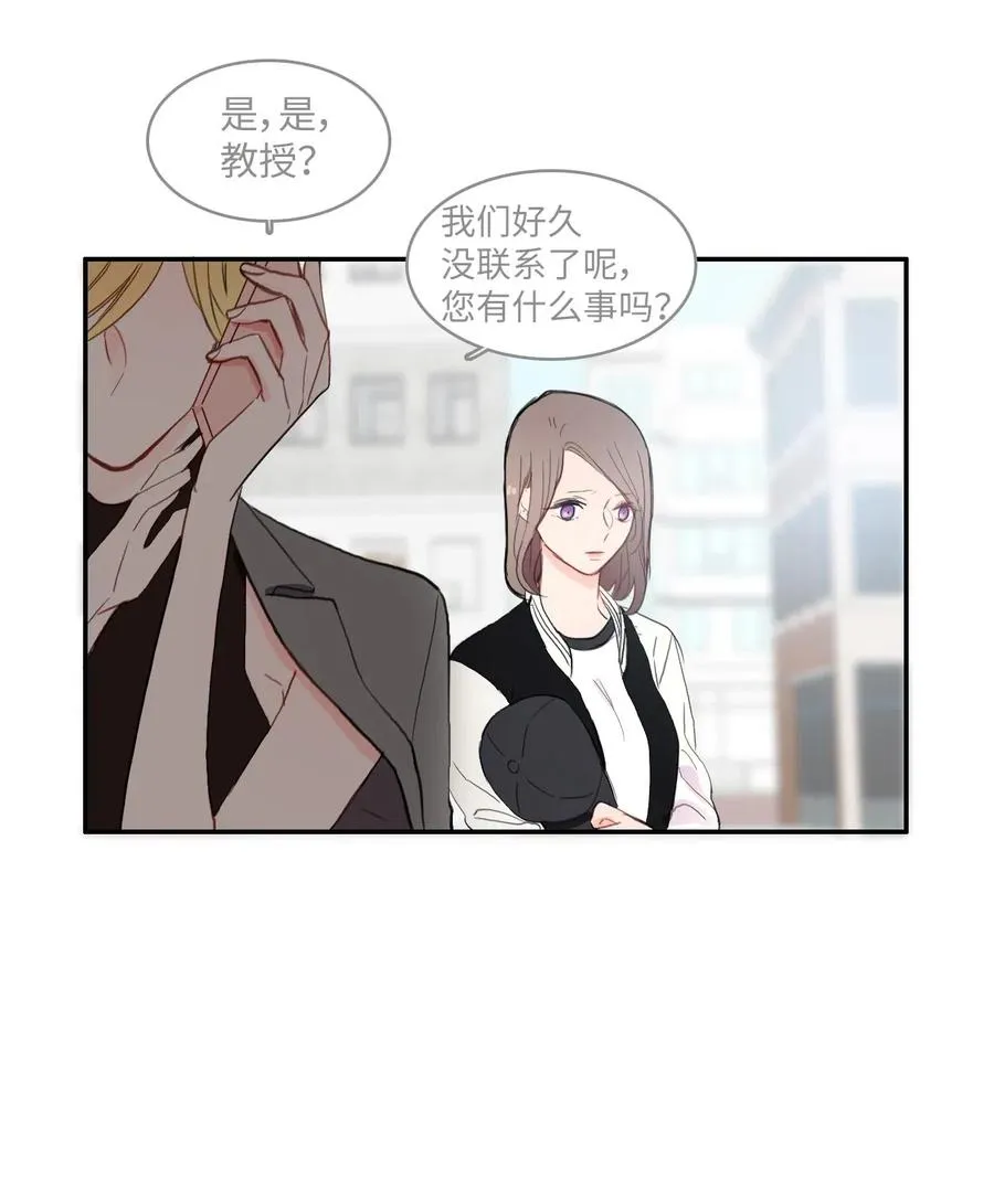 41 直到夕阳西下 第6页