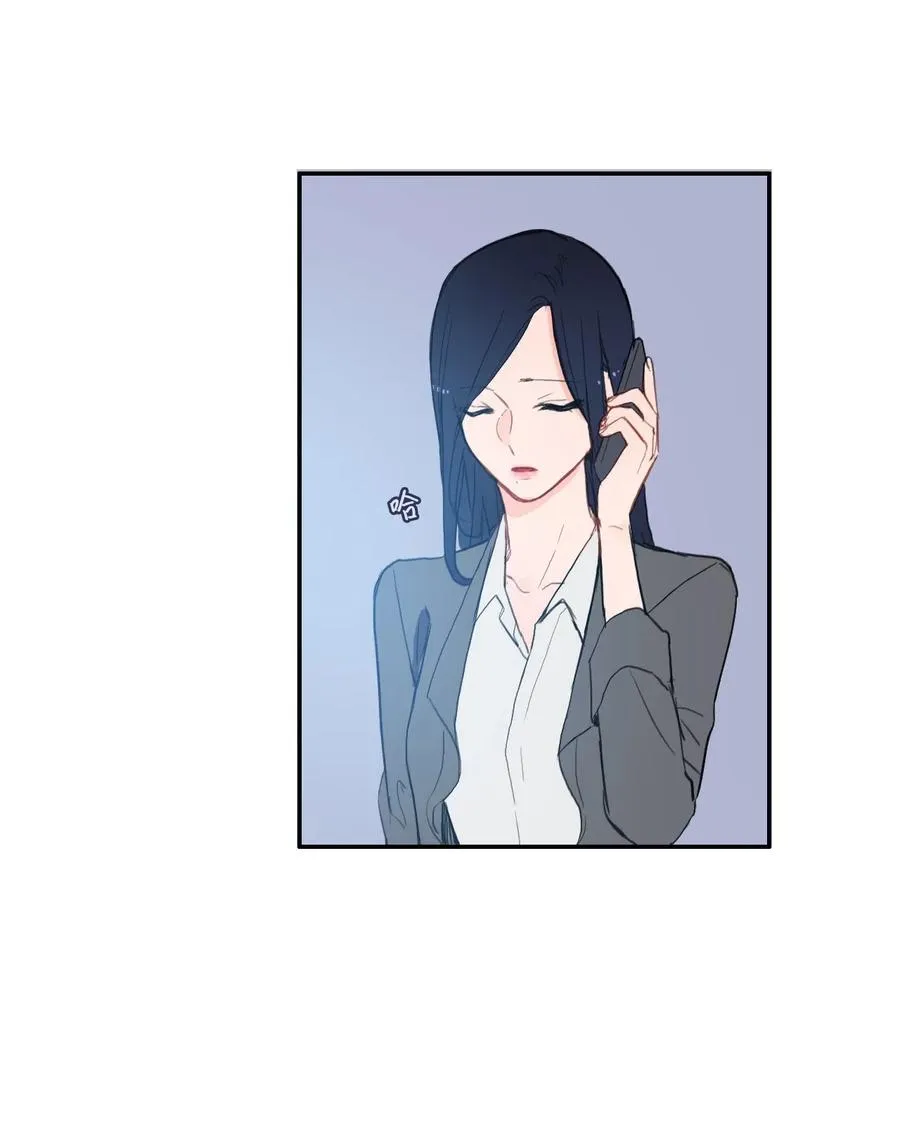 54 回答 第17页