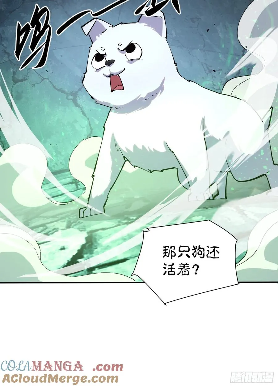 58-真正的猛兽 第11页