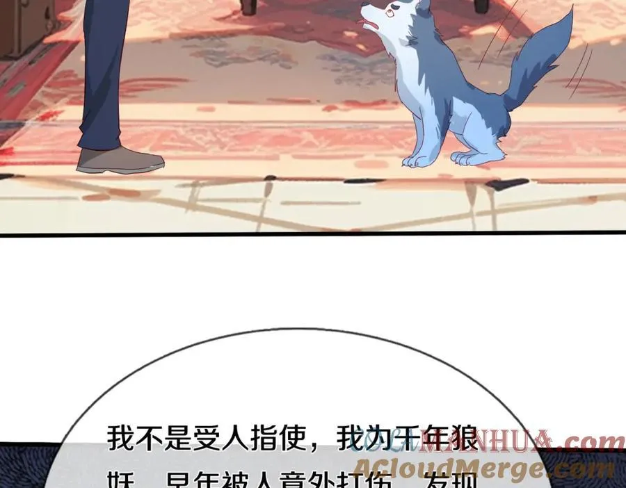 狼妖臣服，大师舔鞋 第28页