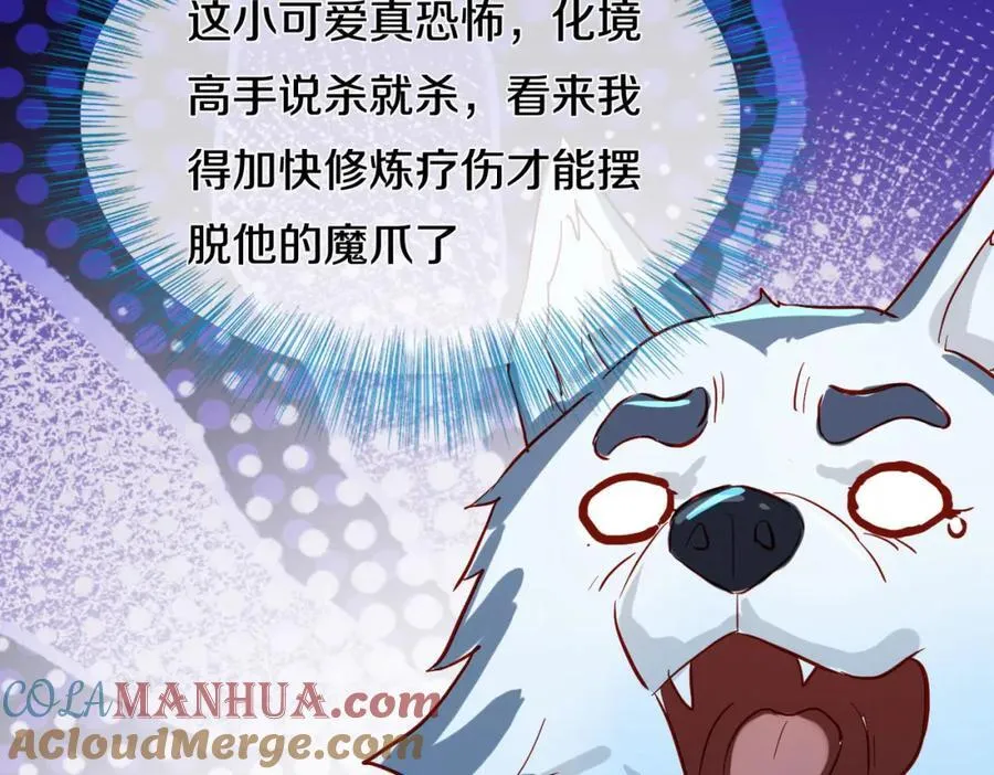 动我逆鳞，剑指缅北 第61页