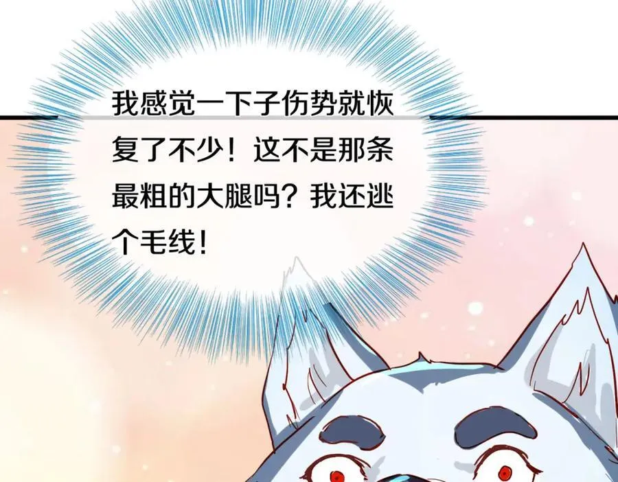 动我逆鳞，剑指缅北 第71页