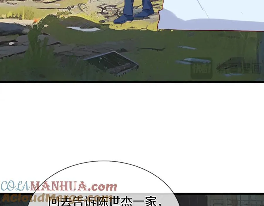 长途奔袭，缅北刀疤 第9页
