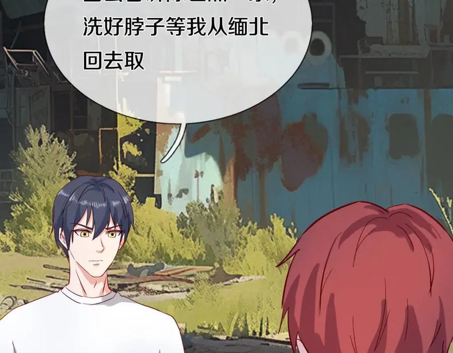 长途奔袭，缅北刀疤 第10页