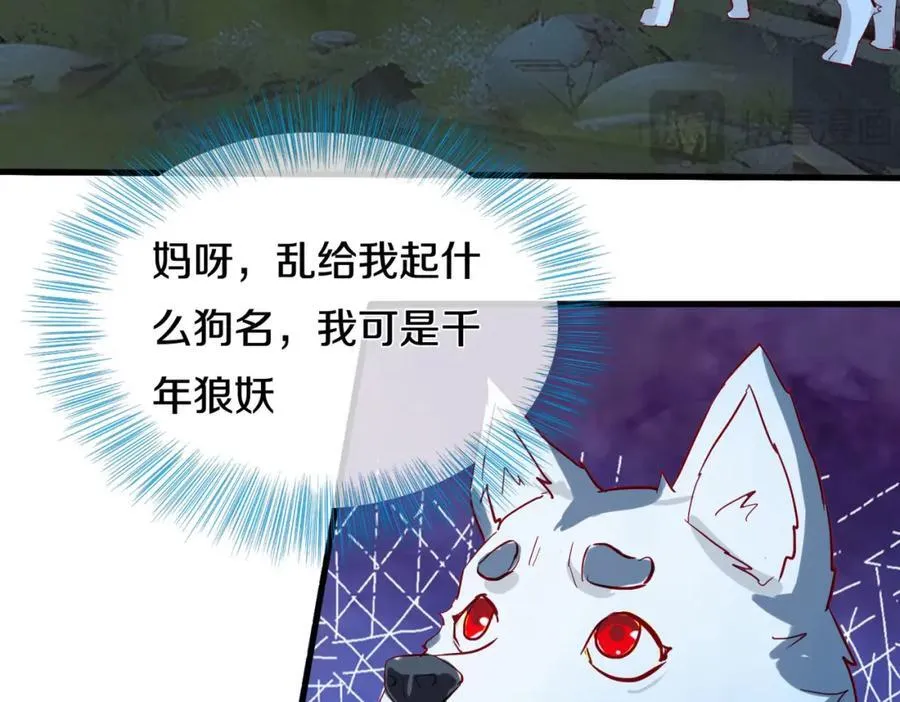 长途奔袭，缅北刀疤 第20页