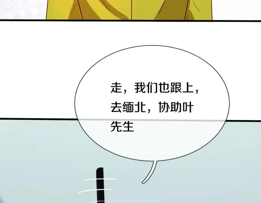 长途奔袭，缅北刀疤 第28页