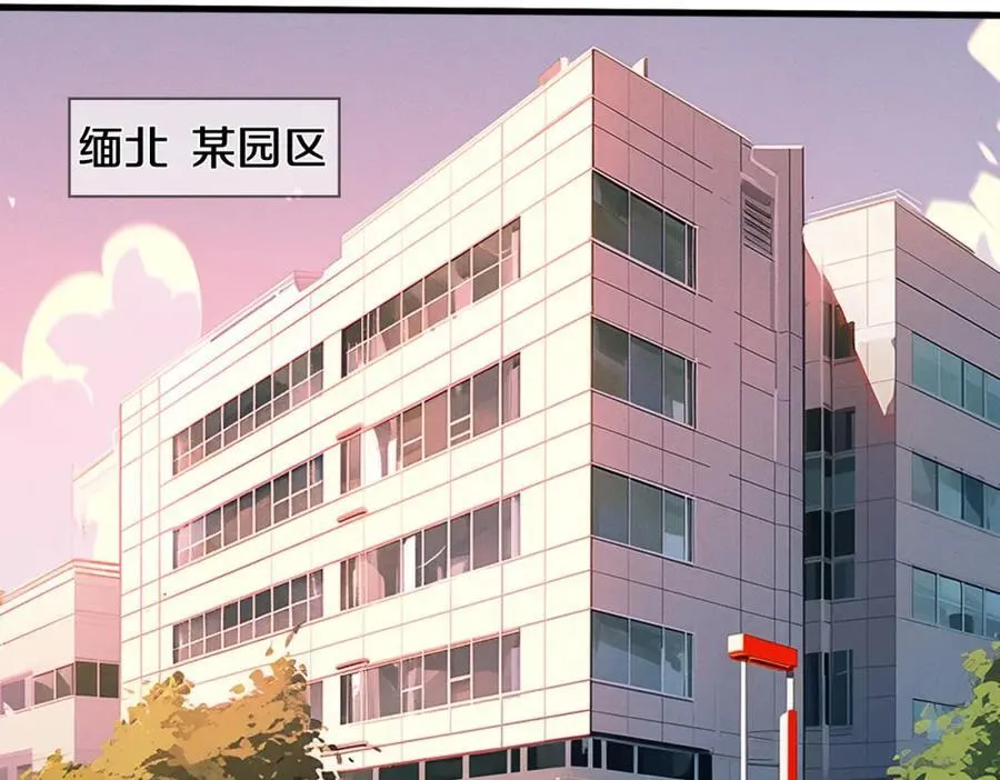 长途奔袭，缅北刀疤 第48页