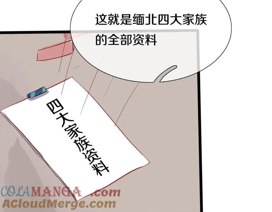 四大家族，必须铲除 第43页