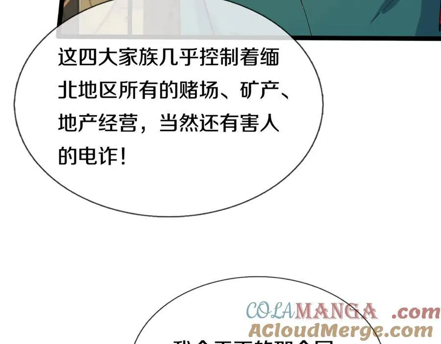 四大家族，必须铲除 第46页