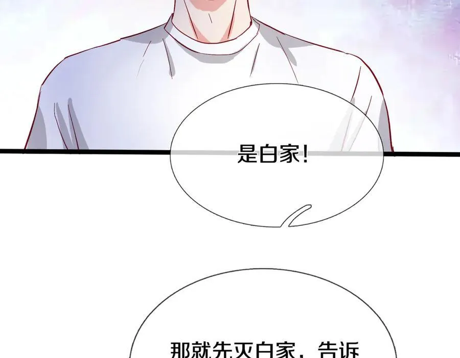 四大家族，必须铲除 第48页
