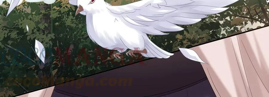 第117话 这仇一定要报 第19页
