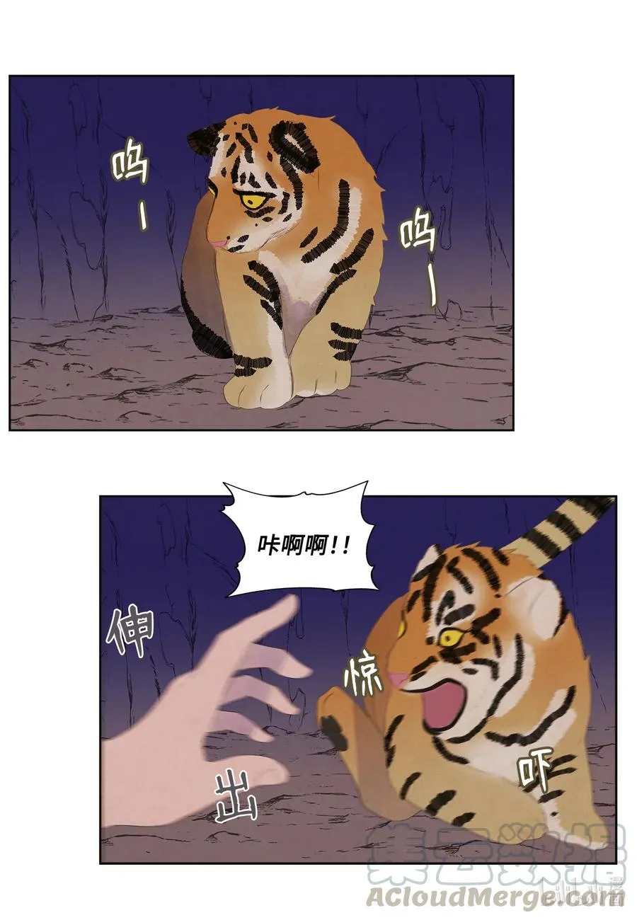 53 少女与老虎 第13页