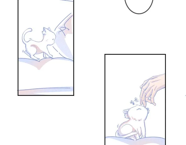 第2话 猫比我早 第36页