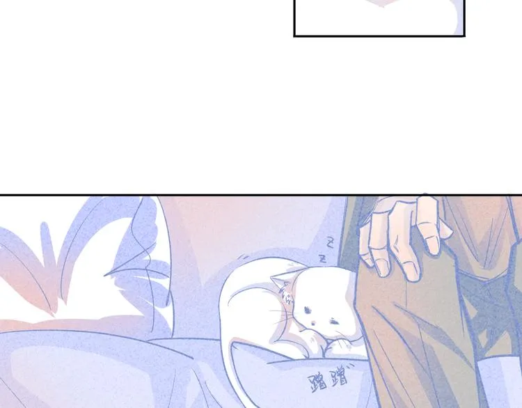 第2话 猫比我早 第37页