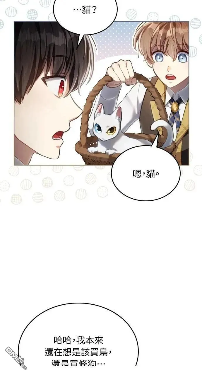 第66话 第42页