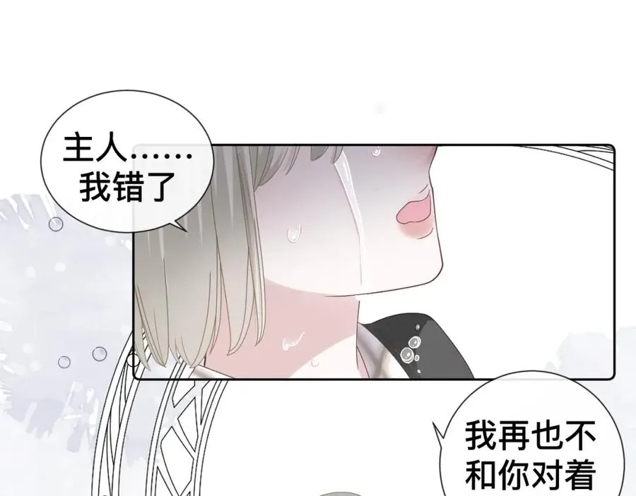 第12话 辛巴！我相信你！ 第2页