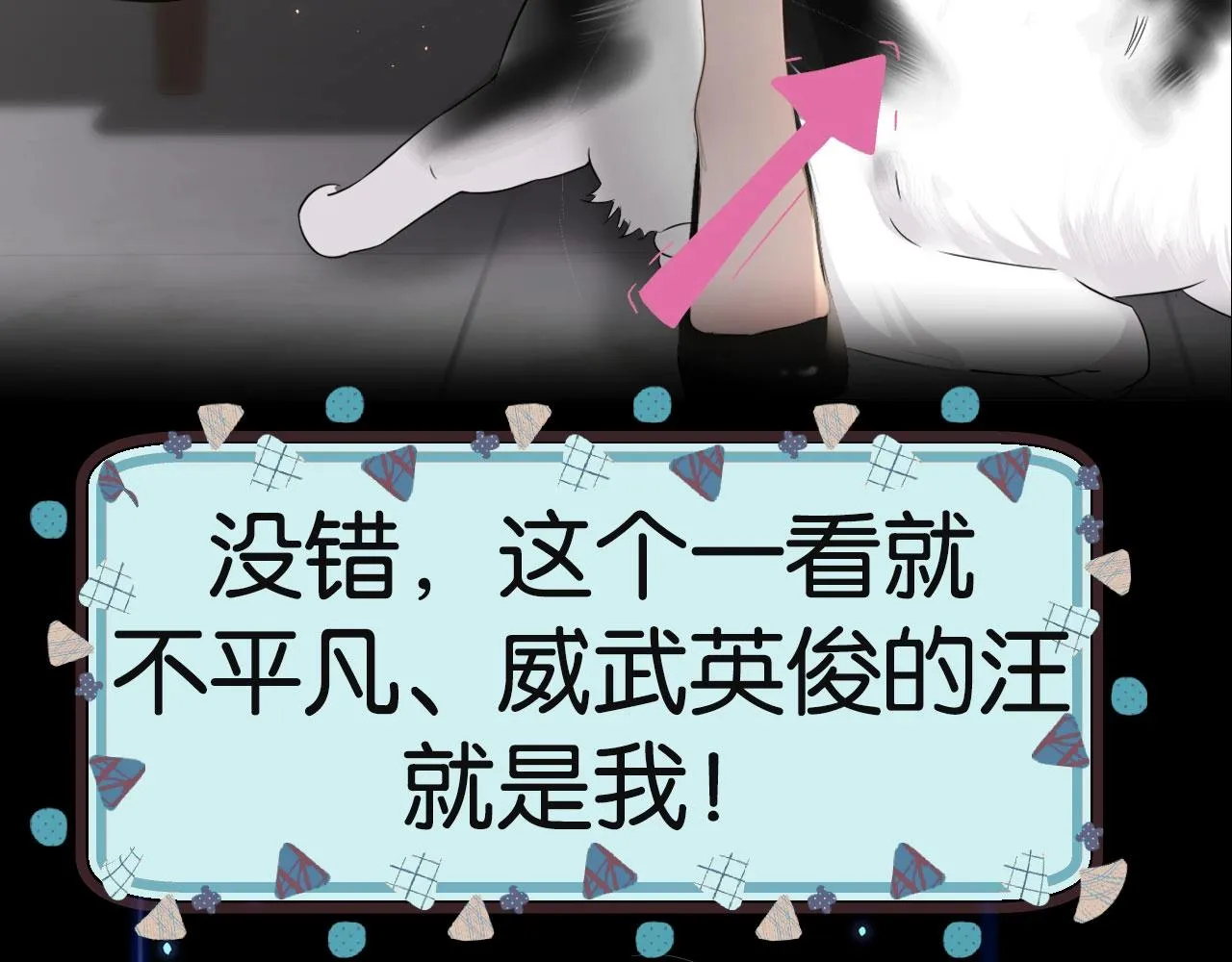 序章 一只汪的男主宣言 第5页