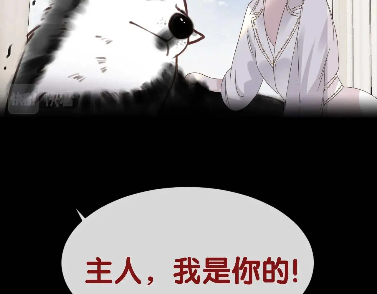 序章 一只汪的男主宣言 第50页