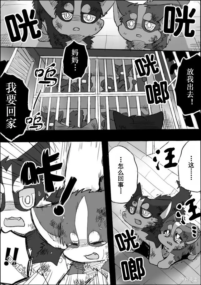 第5话 第10页