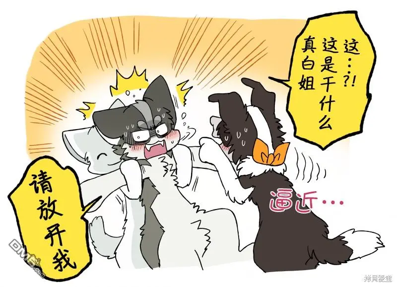 拔眉毛系列 第16页