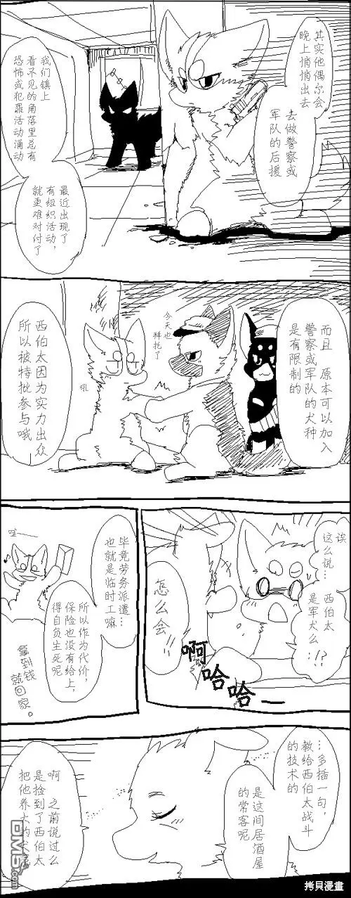 秘密工作 第3页