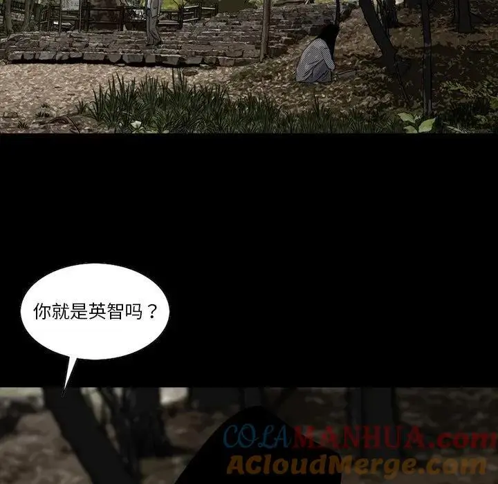 61 第43页