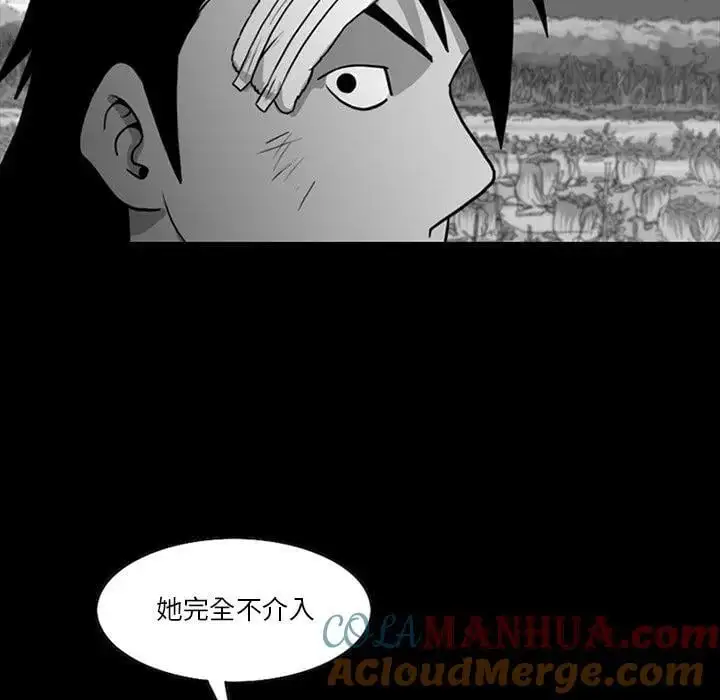 72 第52页