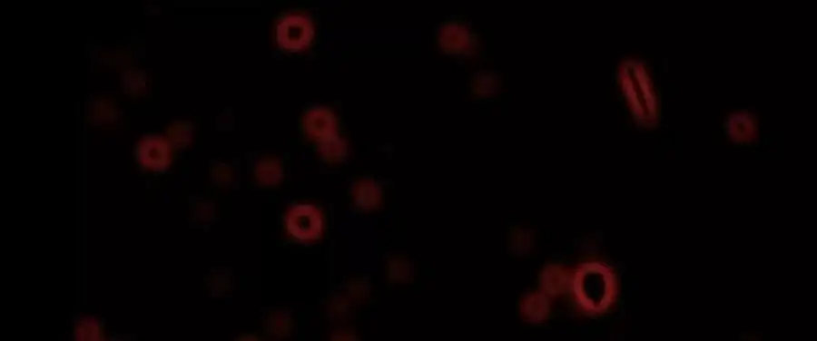 第16话 绿草灵 第23页