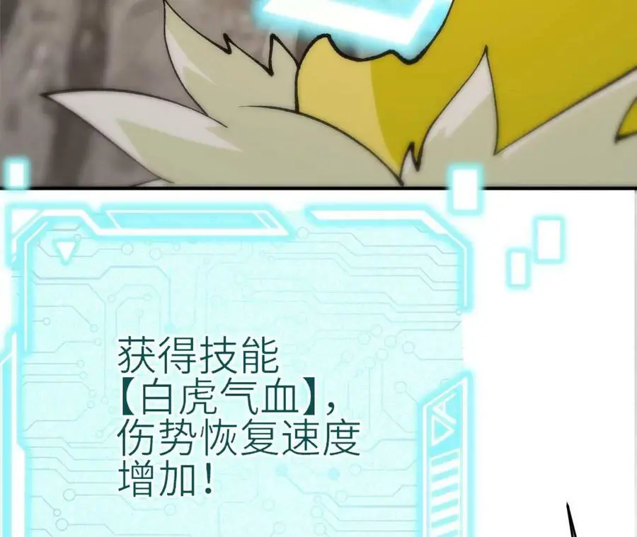 第5章 白虎气血的正确用法 第103页