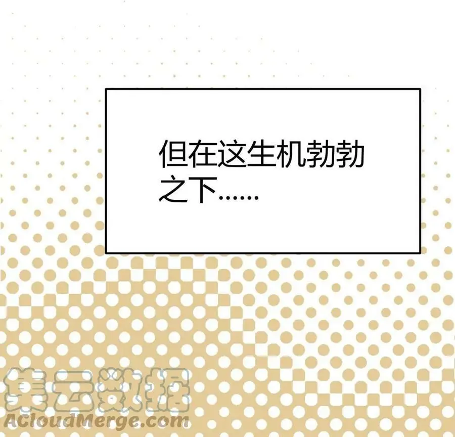 预告 第43页