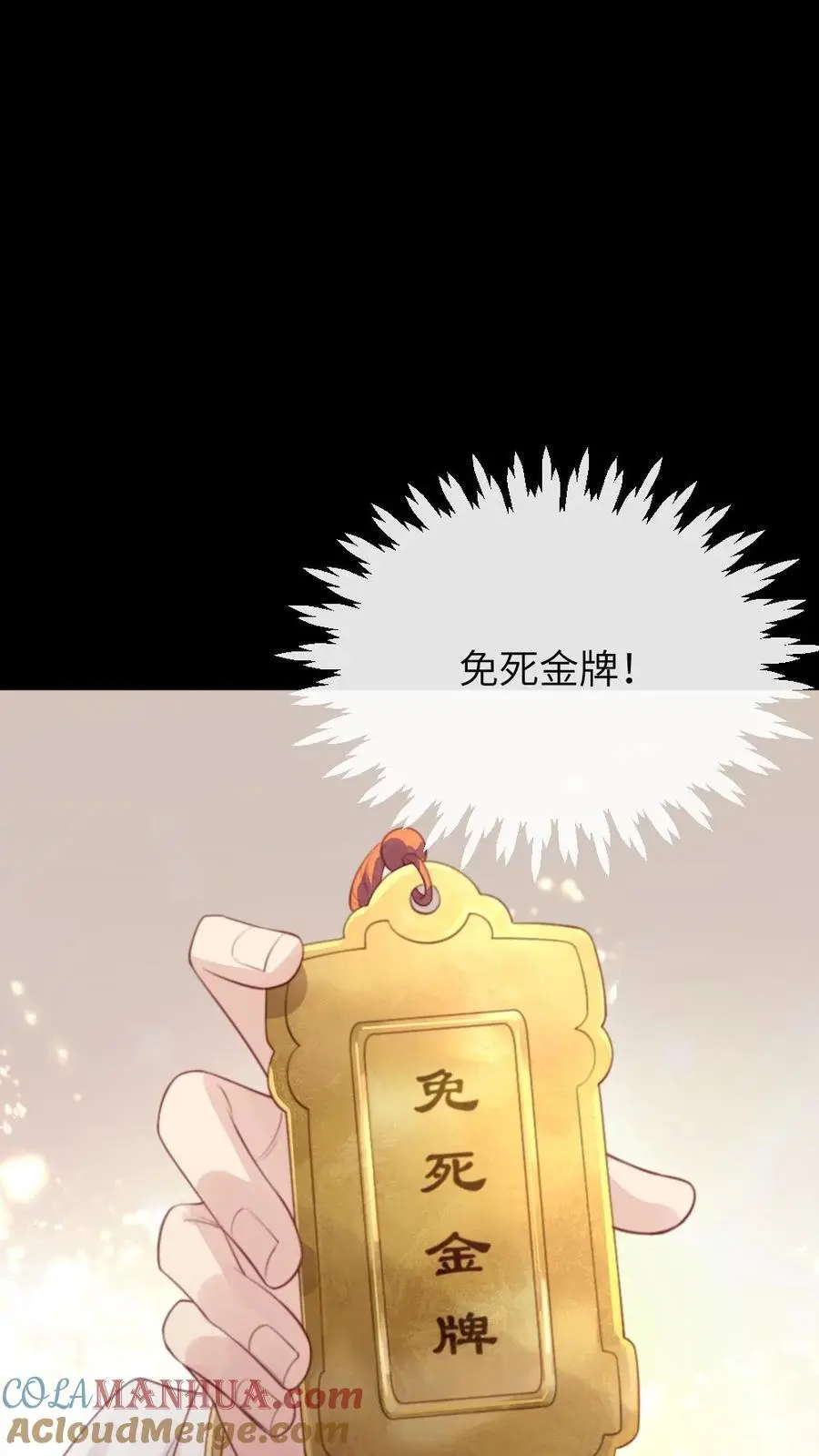 第244话 陆临渊赠宁潇潇免死金牌 第25页