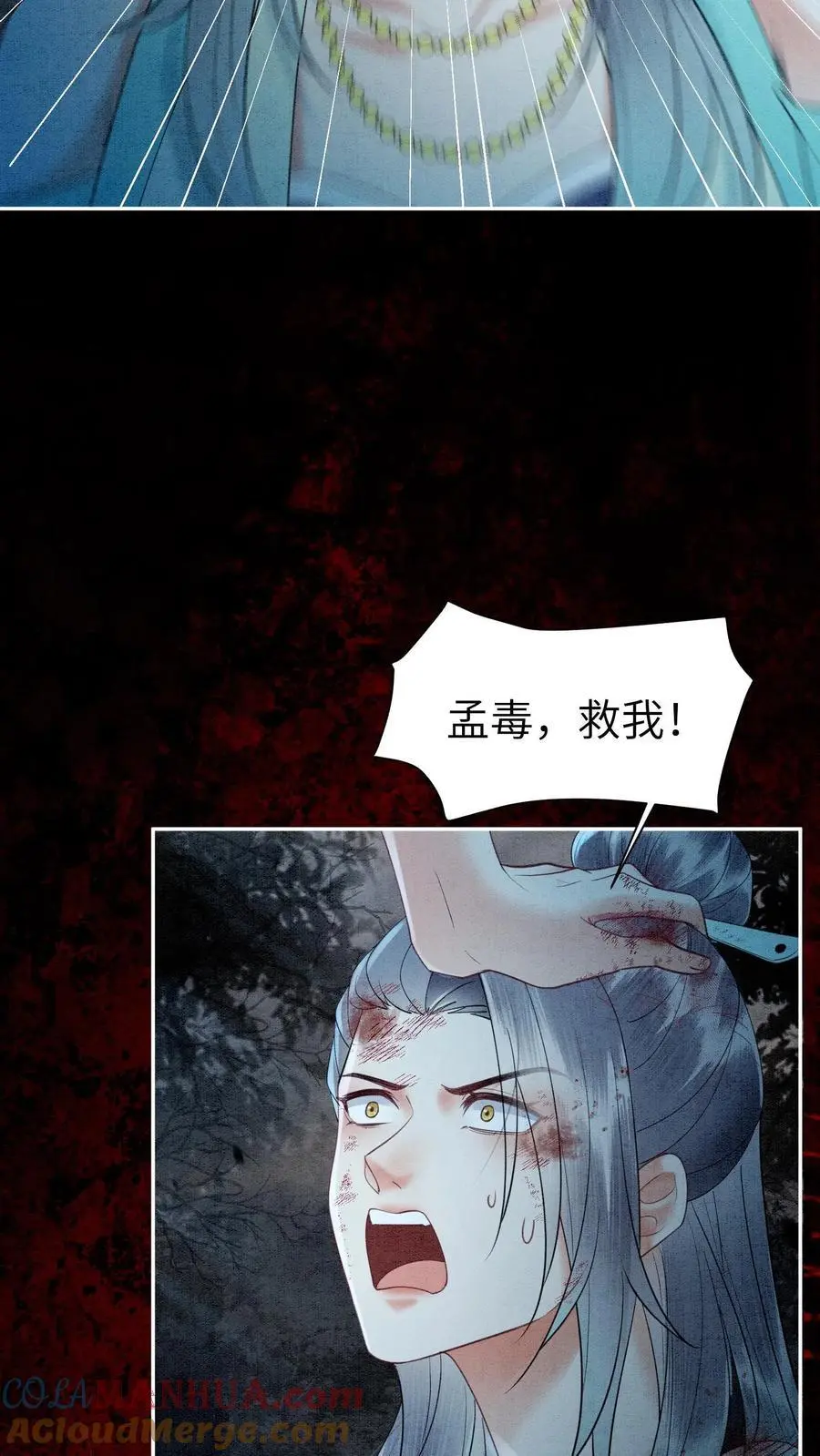 第483话 孟毒 第17页