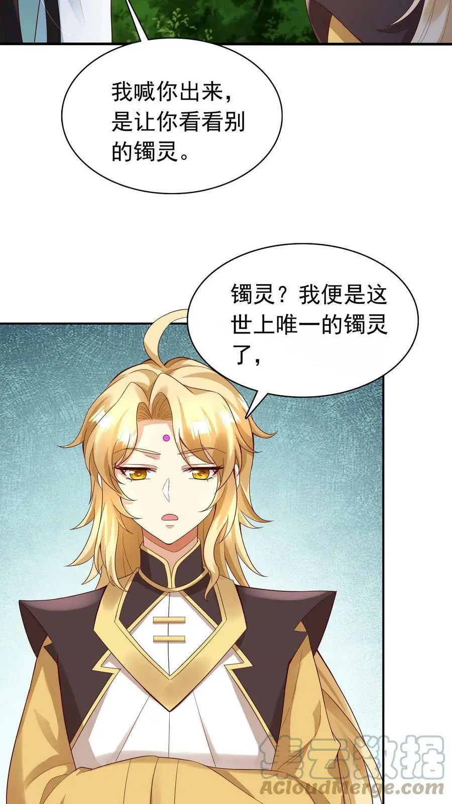 第245话 天降好大儿 第13页