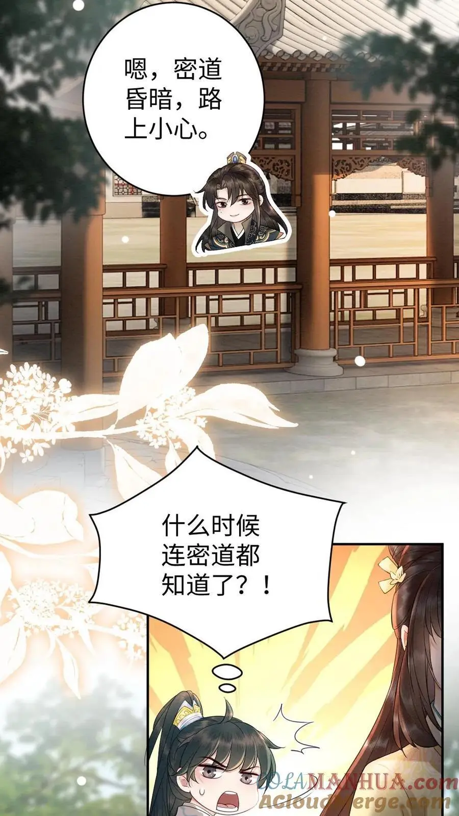第74话 团宠 第11页