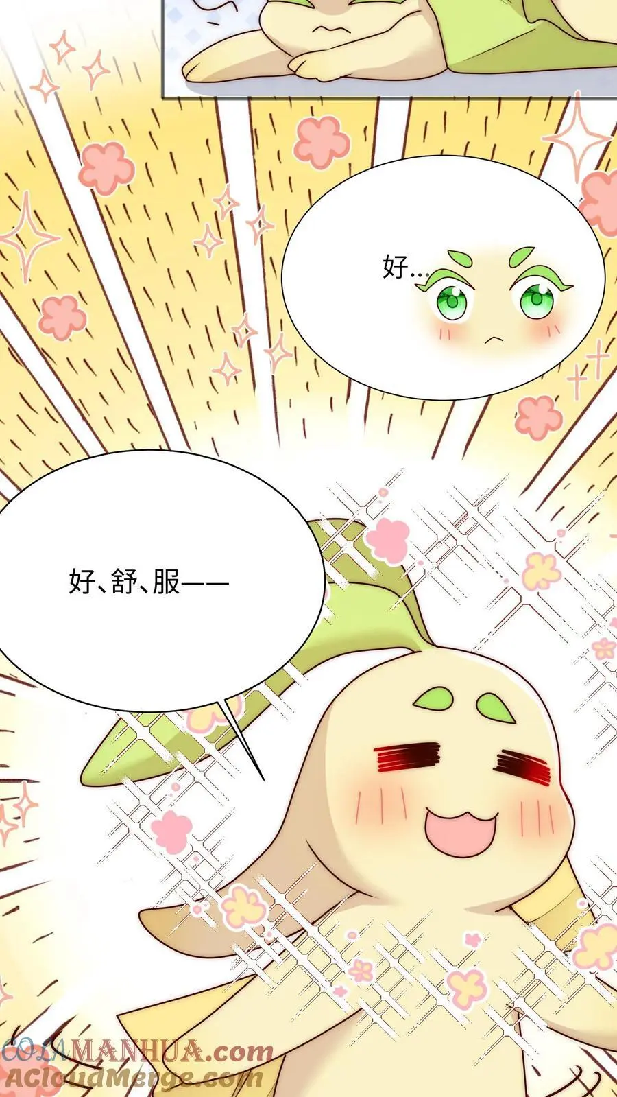 第115话 这就是圣光吗 第13页