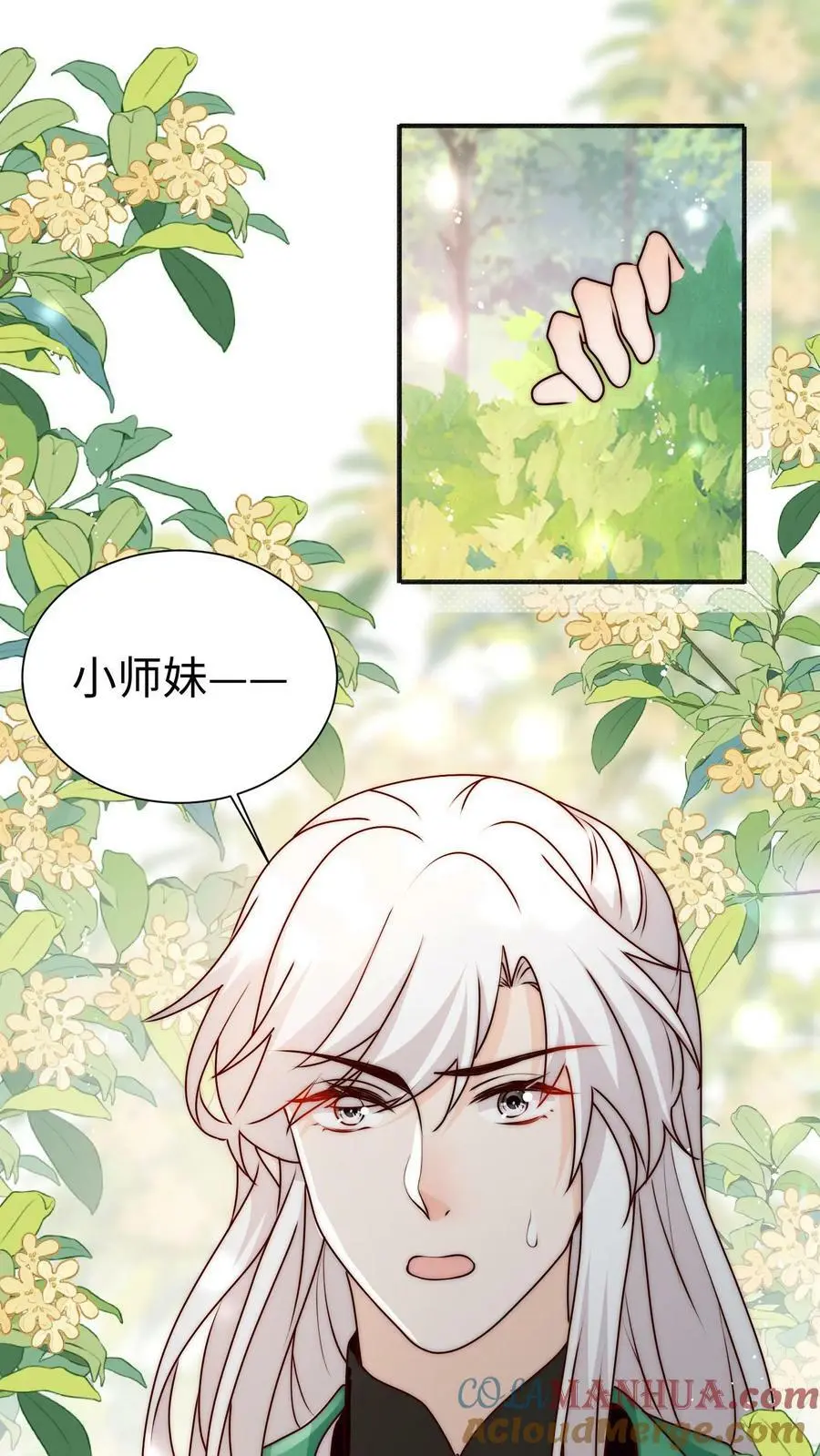 第84话 团宠小师妹 第5页